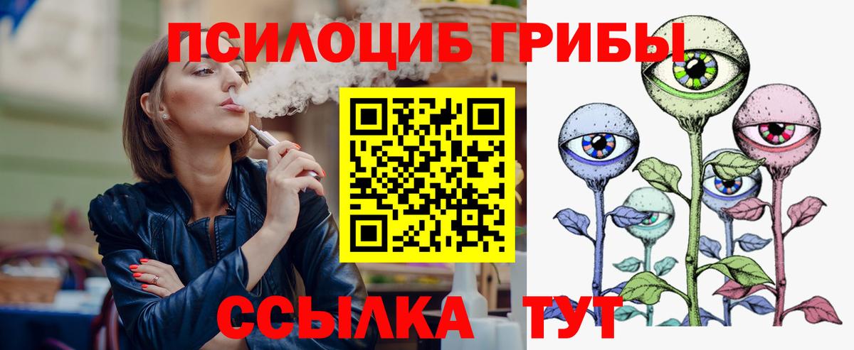 наркотики  Вход с VPN  Майкоп  Галлюциногенные грибы GOLDEN TEACHER 